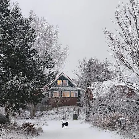 Haus Seeschwalbe - 10