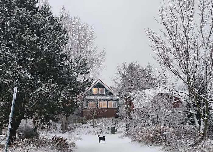 Haus Seeschwalbe - 10